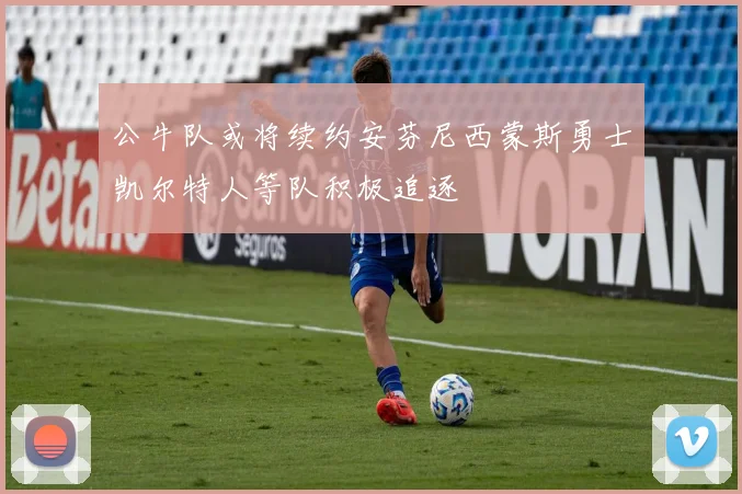 公牛队或将续约安芬尼西蒙斯勇士凯尔特人等队积极追逐